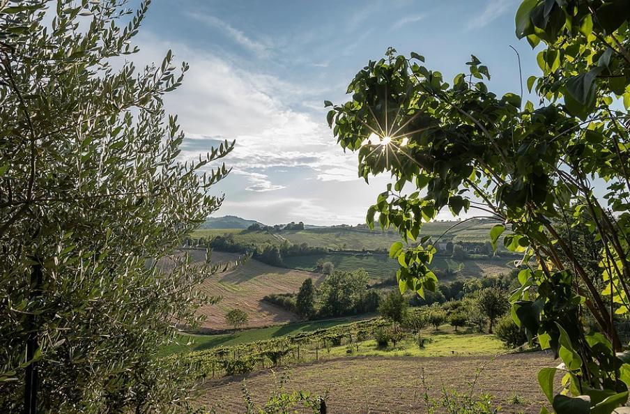 B&B Carletto Cella Monte Dış mekan fotoğraf