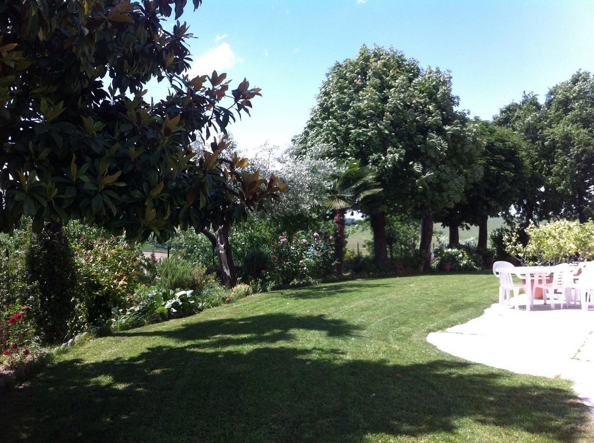 B&B Carletto Cella Monte Dış mekan fotoğraf