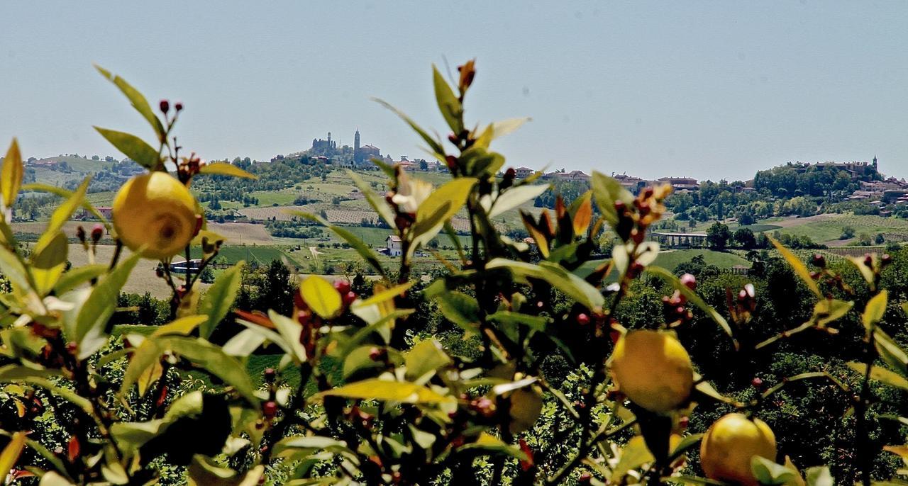 B&B Carletto Cella Monte Dış mekan fotoğraf